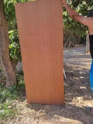  Dos Puertas de madera con paneles blindadas 