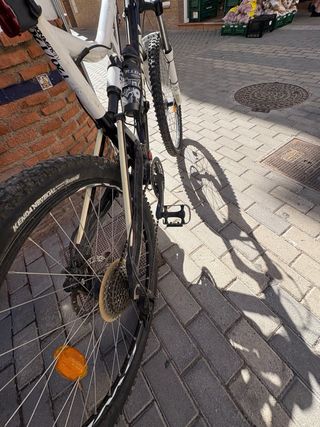 Bicicleta de Montaña