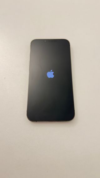 iPhone 13 Pro Max nero/argento