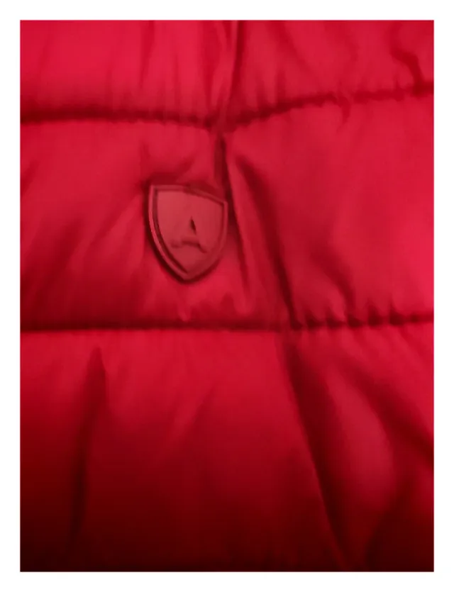 Chaleco Álvaro Moreno con capucha M