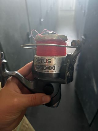 Carrete Pesca Daiwa Cetus GV6000