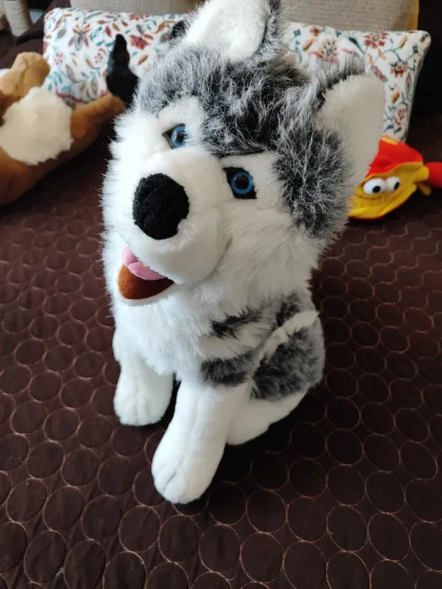 Peluche Husky 50 cm