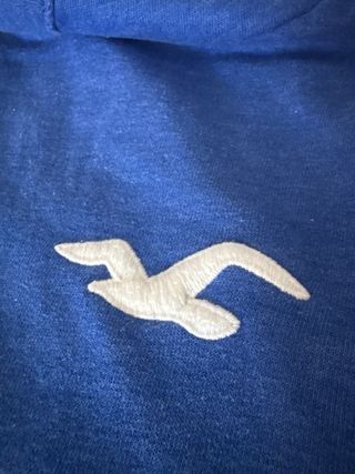 Sudadera Hollister con capucha azul