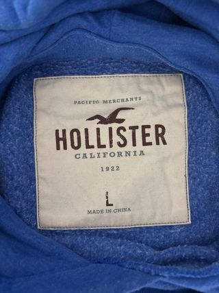 Sudadera Hollister con capucha azul