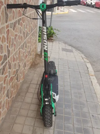Patinete Eléctrico Ecoxtrem Bison