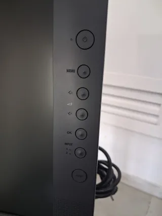 Monitor Ordenador Sony SDM-X52