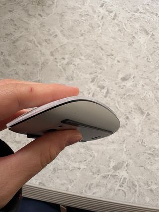 Mouse Apple Magic Mouse
