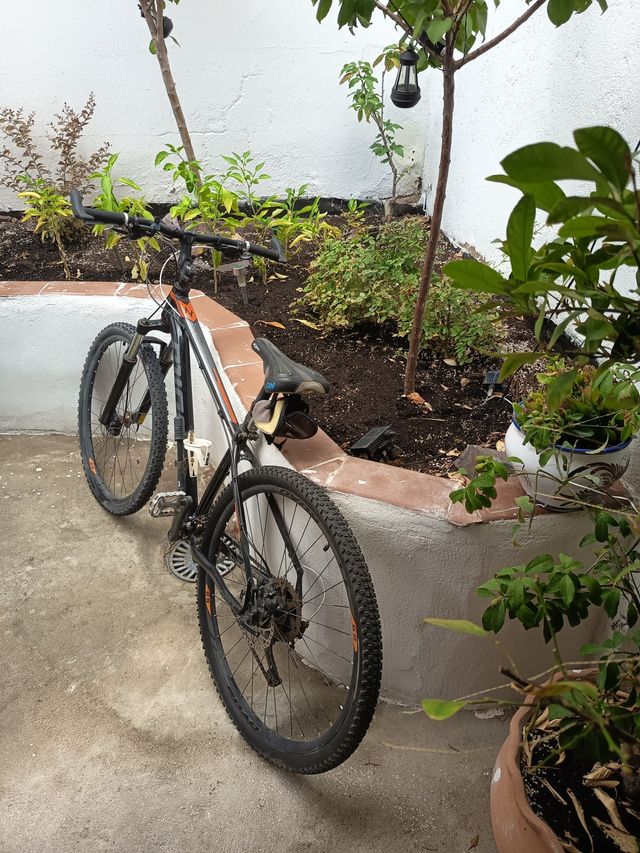 Bicicleta de Montaña TOP