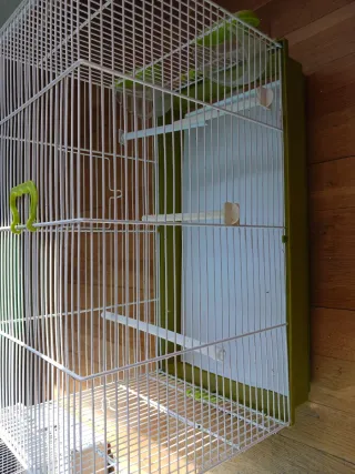 Jaula para pájaros blanca con accesorios