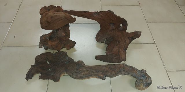 4 Troncos para acuario de madera