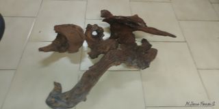 4 Troncos para acuario de madera