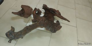 4 Troncos para acuario de madera