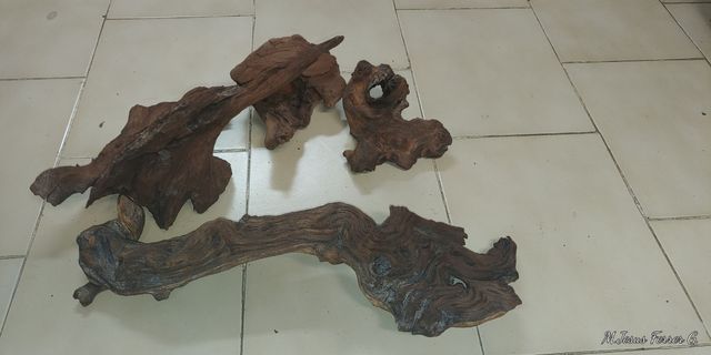 4 Troncos para acuario de madera