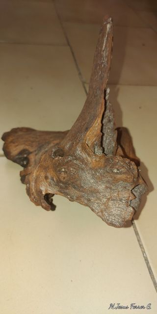 4 Troncos para acuario de madera