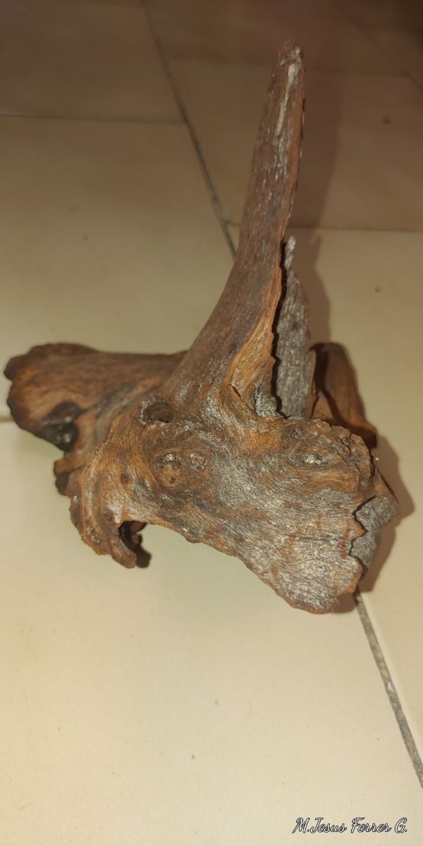 4 Troncos para acuario de madera