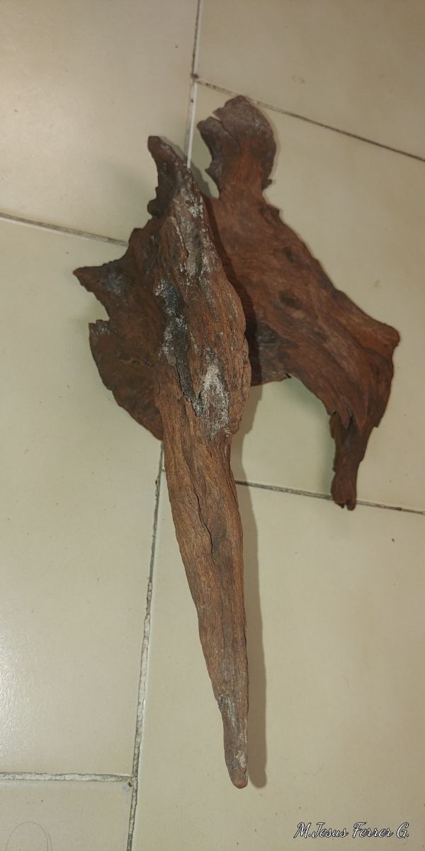 4 Troncos para acuario de madera