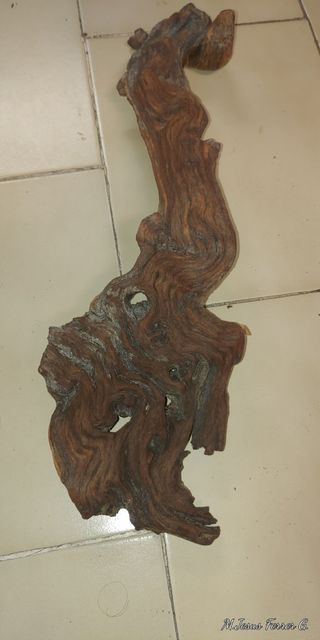 4 Troncos para acuario de madera