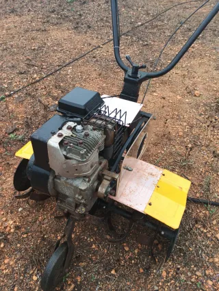 Motor Briggs & Stratton 5HP