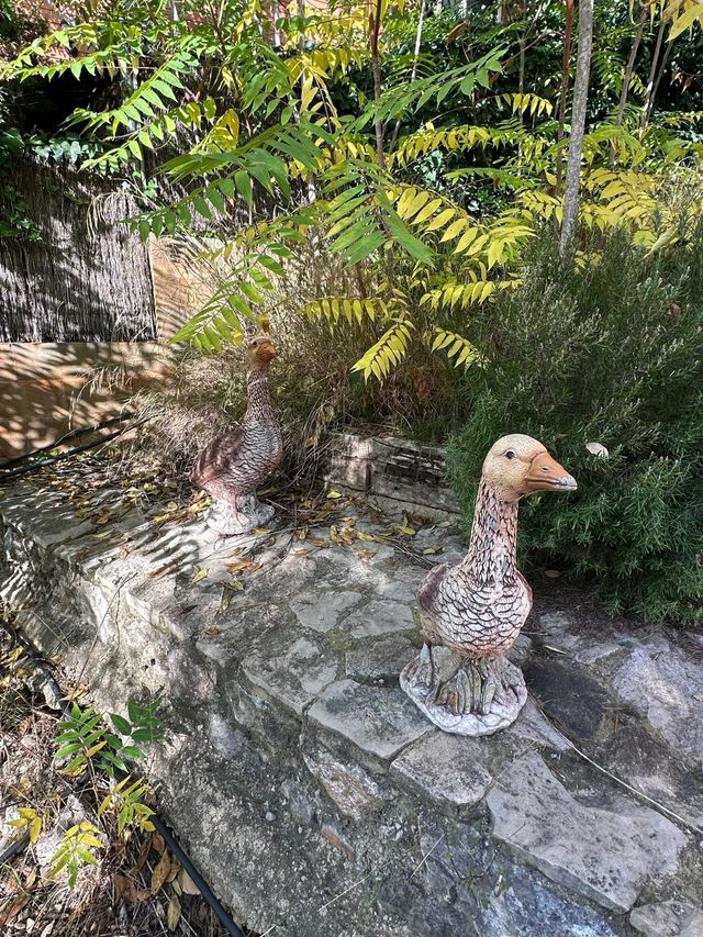 Ocas de piedra para jardín