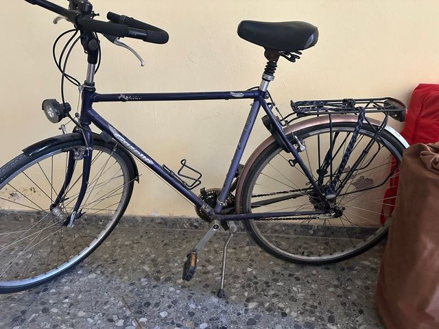 Bicicleta de paseo