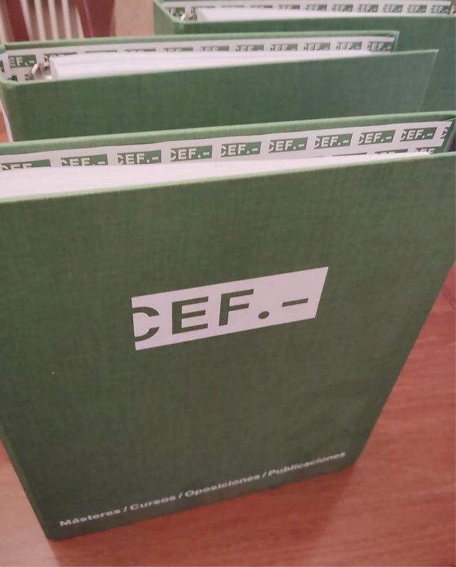 Temas Oposición  auditor e interventor del Estado