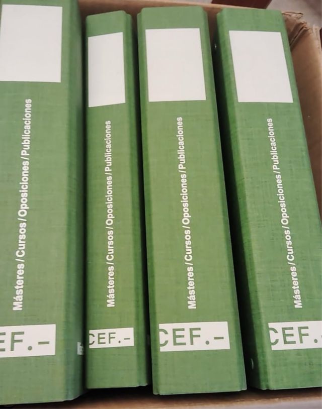 Temas Oposición  auditor e interventor del Estado