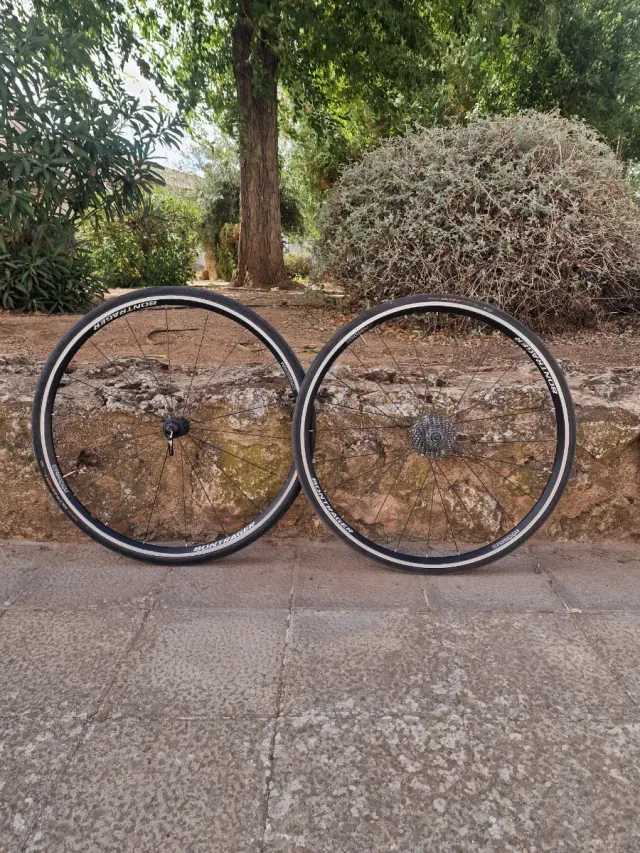 Bicicleta Trek Émonda SL6 Carbono