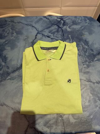 Polo verde Boston