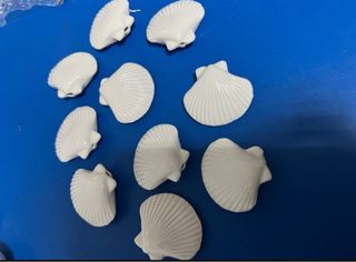 14 Conchiglie e molluschi ceramica bianca 