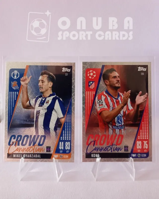 Lote cromos Crowd Connection Match Attax Extra