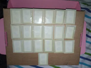 Tattoos y Cromos Risi