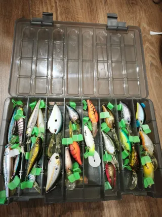 Caja de señuelos de pesca
Con los mejores señuelos
