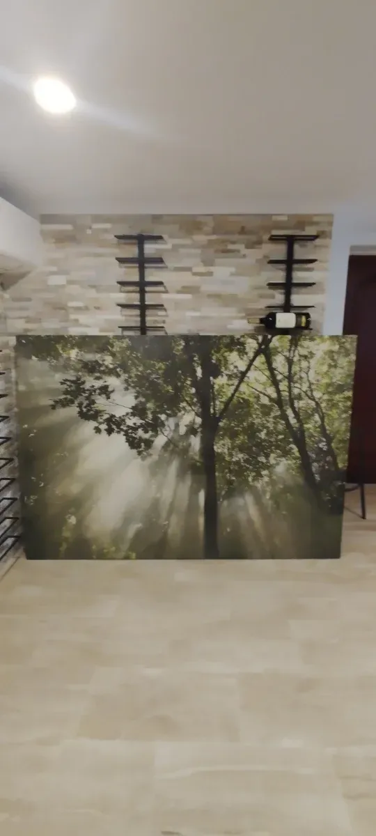 Cuadro de paisaje boscoso