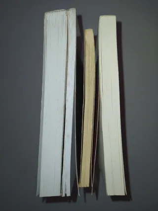 Lote libros Unir Educación Infantil