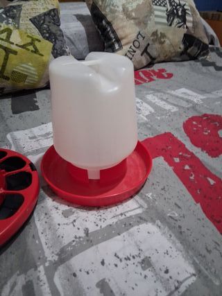 Comedero y bebedero para aves