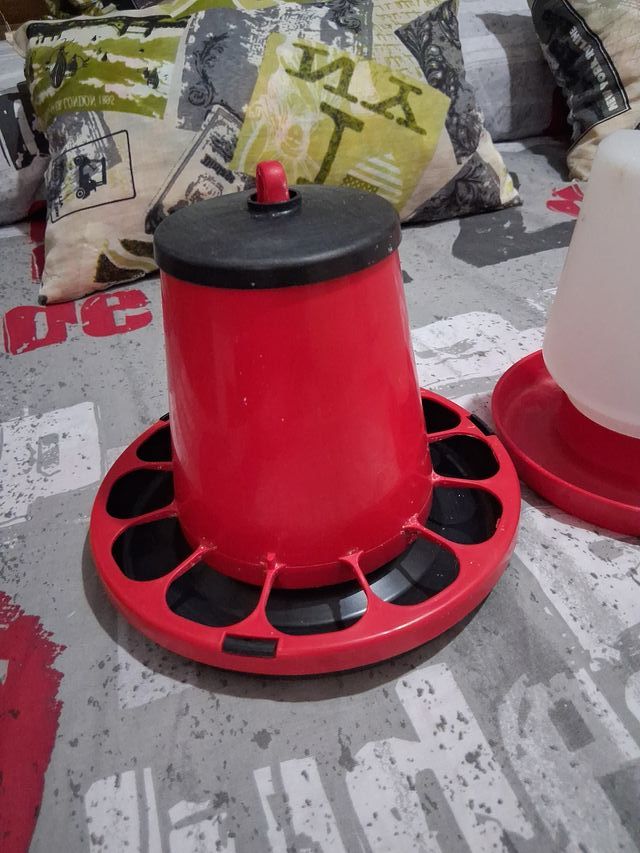 Comedero y bebedero para aves