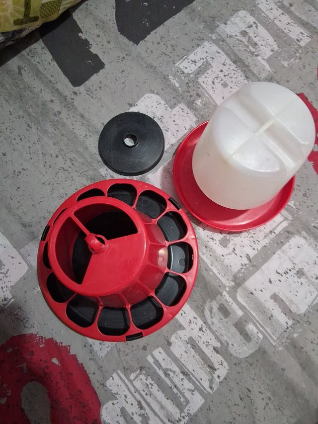 Comedero y bebedero para aves