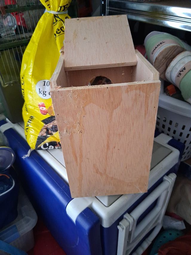 Nido para agapornis y periquitos de madera