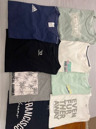 Lote 8 Camisetas Manga Corta Talla M y L