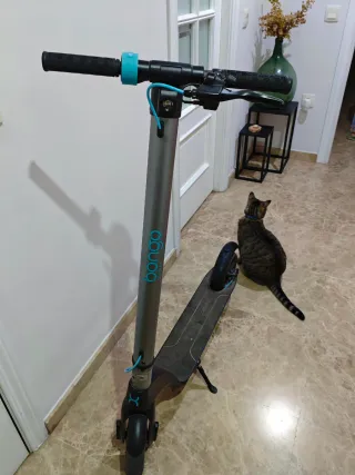 Patinete eléctrico 
Bongo Cecotec 