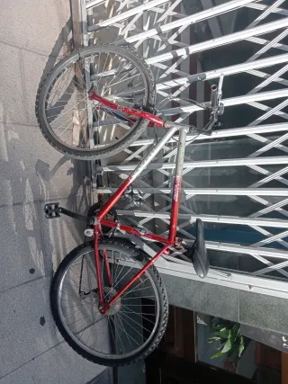 Bici de montaña roja