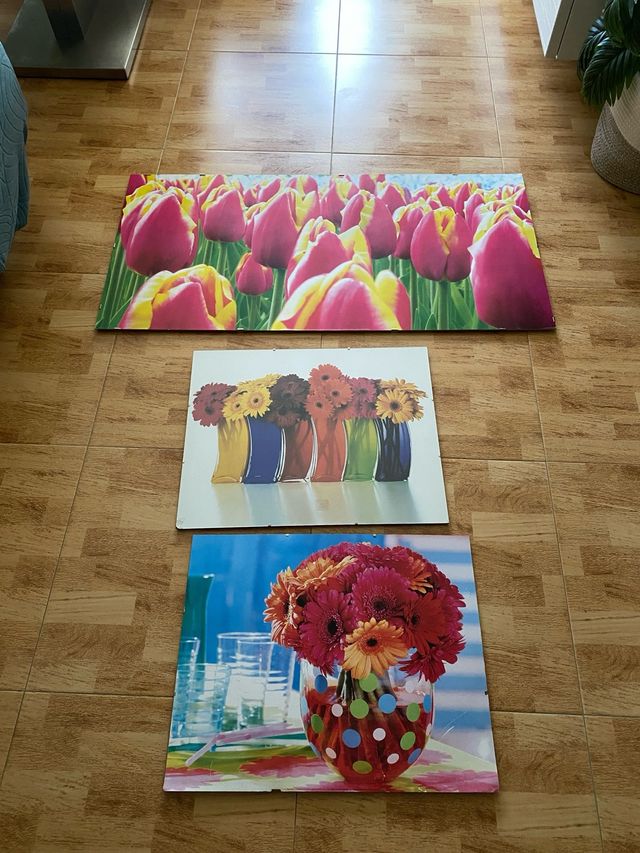 Cuadros de flores (tulipanes y gerberas)
