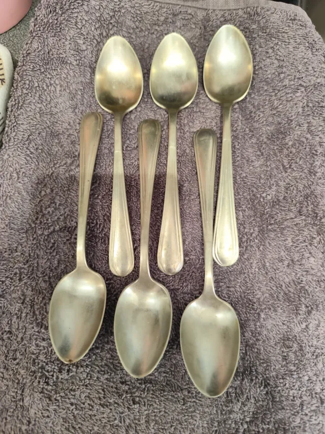 6 Cucharas de Alpaca