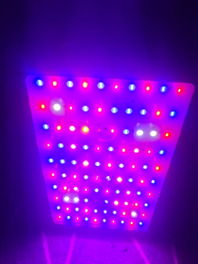 Foco LED BESTVA 1000W
