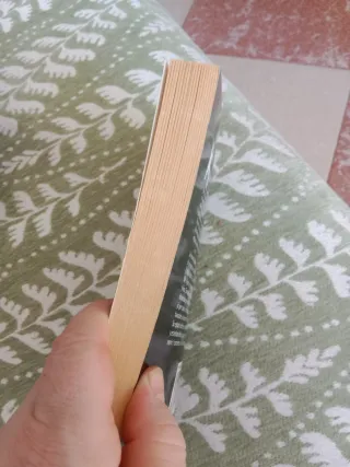 La flecha negra.Novelas clásicas de siempre.