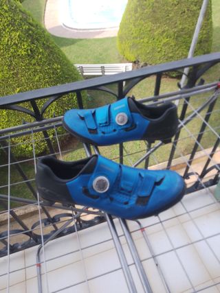 Zapatillas Shimano XC5 BTT Azul