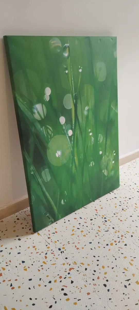 Cuadro Decorativo Hierba con Gotas