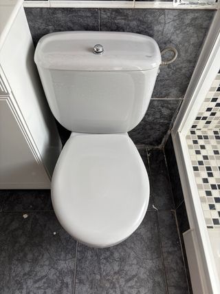 Inodoro y Bidé Roca Gris