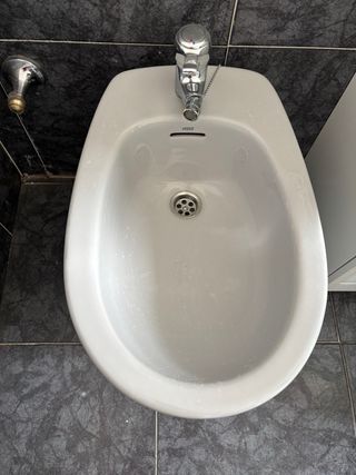 Inodoro y Bidé Roca Gris