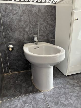 Inodoro y Bidé Roca Gris